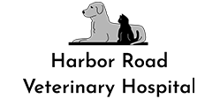 Link to Homepage of Harbor Road Veterinary Hospital